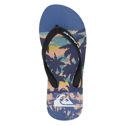 Пантолеты Quiksilver Molokai Art 25 Youth Синий