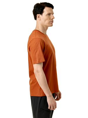 Футболка Salewa Eagle Cover Bombay Brown