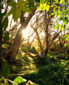 Гамак Amazonas Ultralight Adventure Hammock Coyote