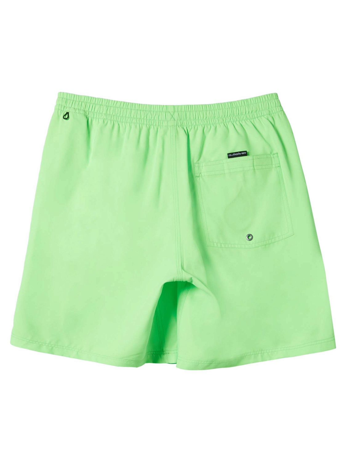 Шорты для плавания детские Quiksilver Solid Yth 14 Jamv Green Gecko