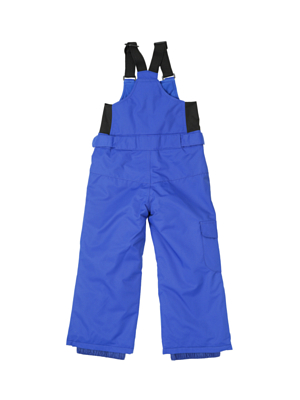 Брюки сноубордические Roxy Lola Mazarine blue