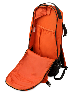 Рюкзак Dakine Heli Pro 20L Pureed Pumpkin