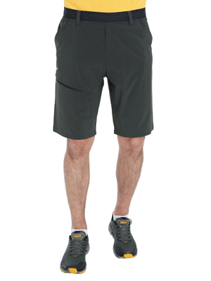 Шорты Salewa Puez 3 Dst M Shorts Dark Olive