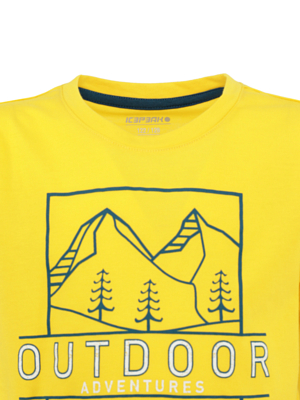 Футболка Icepeak Kinston Желтый
