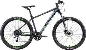 Велосипед Welt Rubicon 3.0 29 2019 matt grey/green