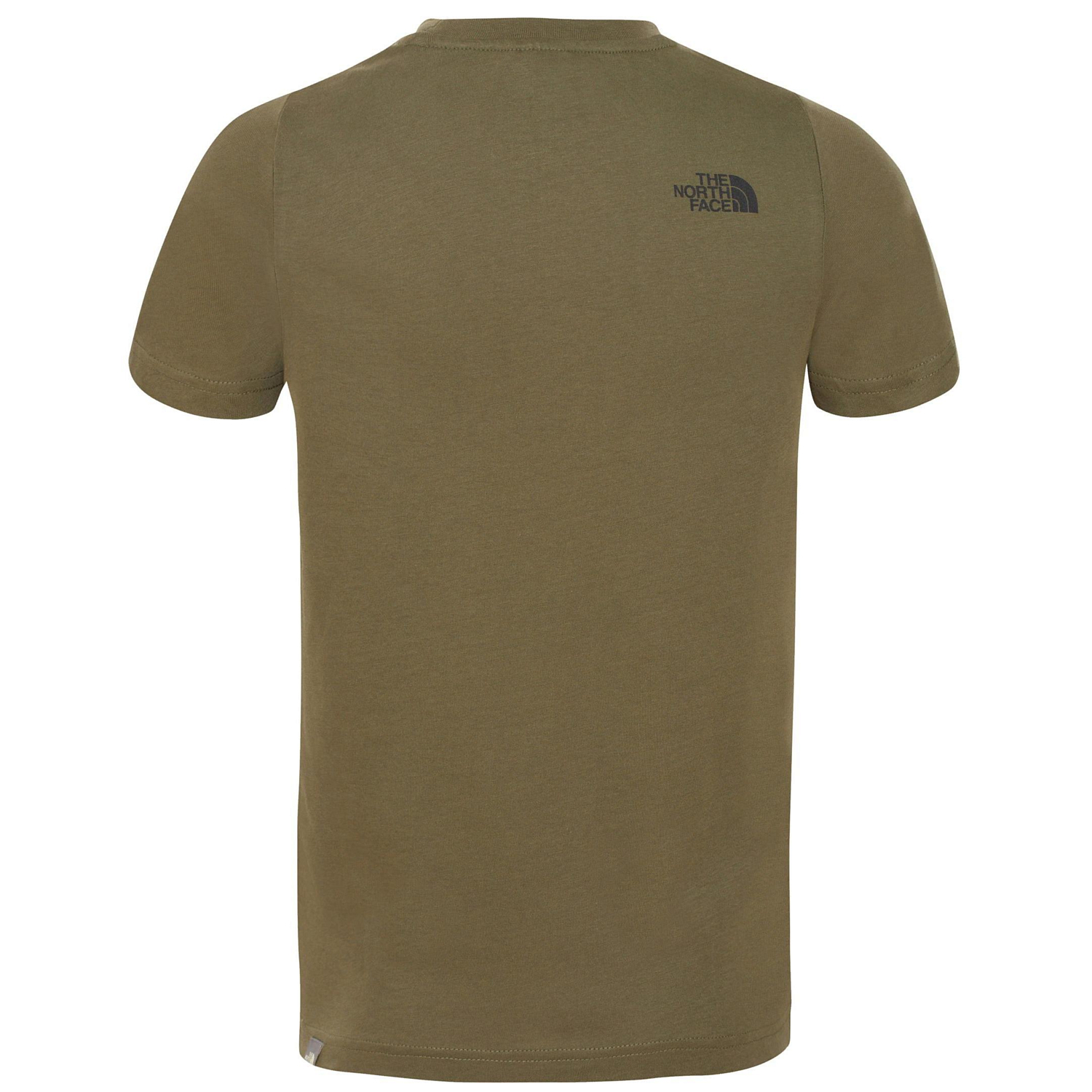 Футболка детская The North Face Y Box S/S Tee New Taupe Green