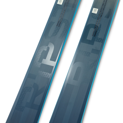 Горные лыжи ELAN Ripstick 102