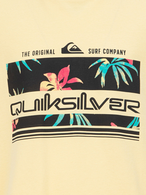 Футболка Quiksilver Tropicalrainyth Mellow Yellow