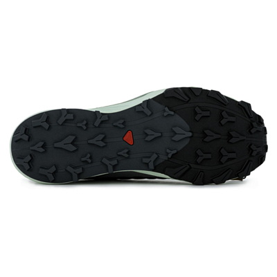 Кроссовки SALOMON Thundercross Asphalt/Sharkskin/Spray