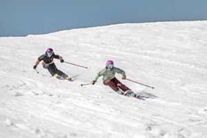Горные лыжи с креплениями ELAN WILDCAT 76 LS + ELW9.0
