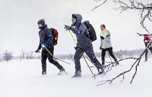 Зимний активный отдых на туристических лыжах