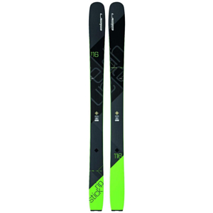Горные лыжи ELAN 2017-18 RipStick 116