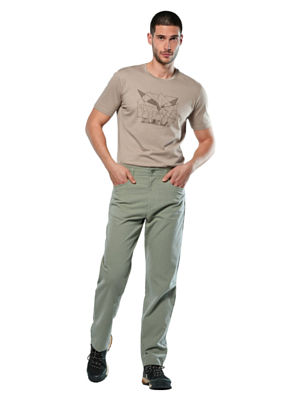 Брюки Salewa Fanes Hemp Light Shadow