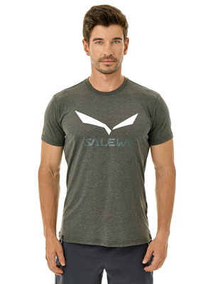 Футболка Salewa Solid Logo Dry Dark Olive Melange
