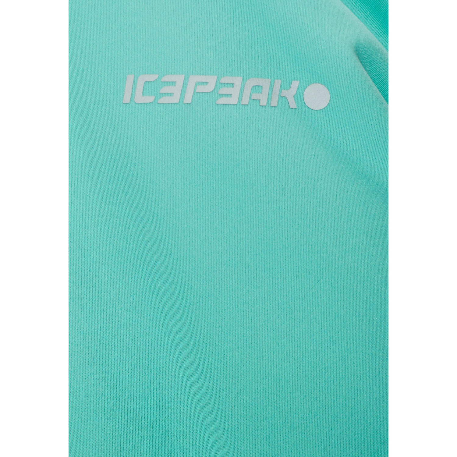 Куртка для активного отдыха Icepeak 2019 Lucy Зелёный