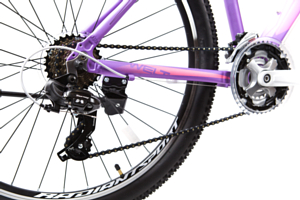 Велосипед Welt Edelweiss 1.0 2019 matt purple/pink