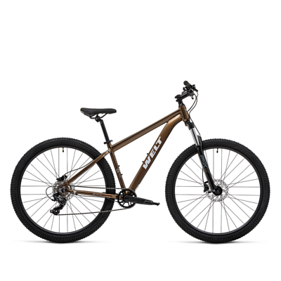 Велосипед Welt Storm 29 HD Mad Bronze