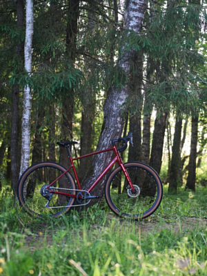 Велосипед Welt G110 Deep Red