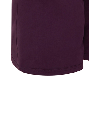 Брюки сноубордические Volcom Frochickidee Ins BLACKBERRY