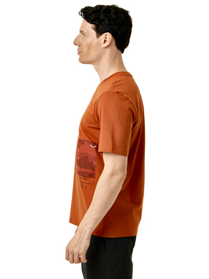 Футболка Salewa Eagle Cover Bombay Brown
