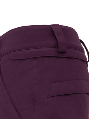 Брюки сноубордические Volcom Frochickidee Ins BLACKBERRY