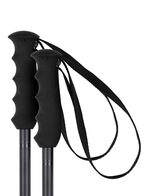 Горнолыжные палки ELAN Voyager Rod