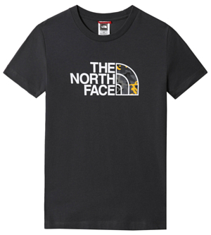 Футболка The North Face Easy Tee S/S Y Asphalt Grey-Summit Gold Camo Print