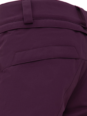 Брюки сноубордические Volcom Frochickidee Ins BLACKBERRY