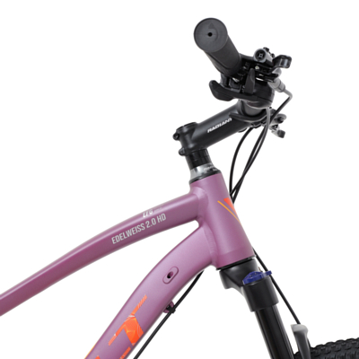 Велосипед Welt Edelweiss 2.0 HD 27 Violet