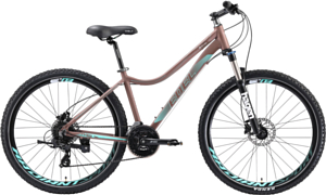 Велосипед Welt Edelweiss 2.0 HD 27 2019 matt bronze/light blue