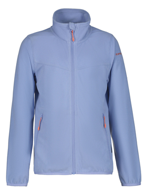 Толстовка детская Icepeak Kimball Light Blue