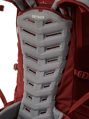 Рюкзак Salewa Alptrek 38+5 Pompeian Red/Syrah