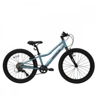 Велосипед MAXISCOO 5Bike 24 2024 Аквамарин