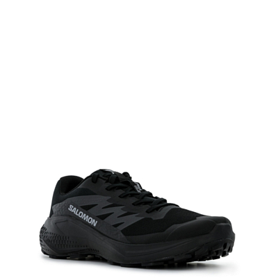 Кроссовки SALOMON Alphaglide Black/Asphalt