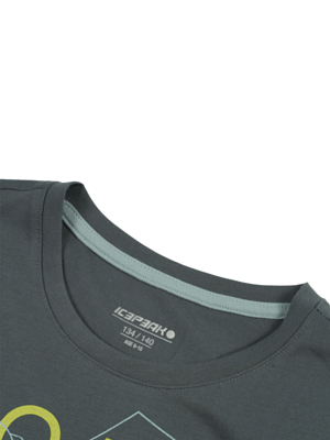 Футболка Icepeak Kinston Dark Olive