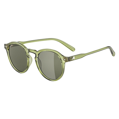 Очки солнцезащитные ALPINA Sneek Green-Transparent Gloss/Green Cat.3