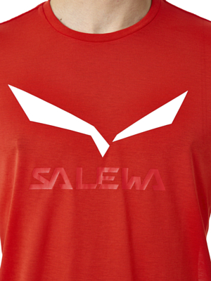Футболка Salewa Solid Logo Dry Flame