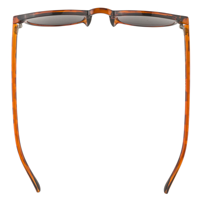 Очки солнцезащитные ALPINA Sneek Havana Gloss/Black Cat.3
