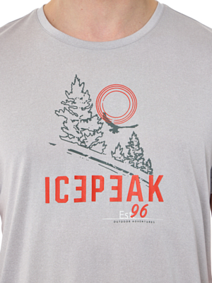 Футболка Icepeak Bearden Steam