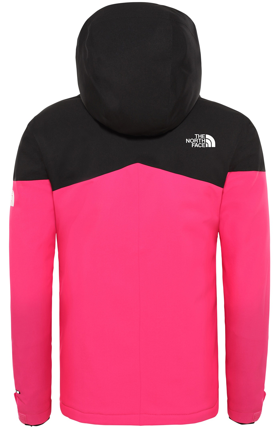 Куртка горнолыжная детская The North Face 2019-20 G Lenardo Ins Mr. Pink