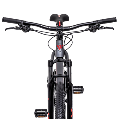 Велосипед Welt Raven 1.0 HD 29 Anthracite