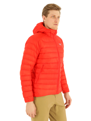 Куртка Arcteryx 2022-23 Cerium LT Hoody Dynasty