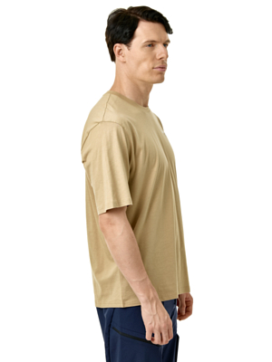 Футболка Salewa Eagle Sunset Loose Quicksand