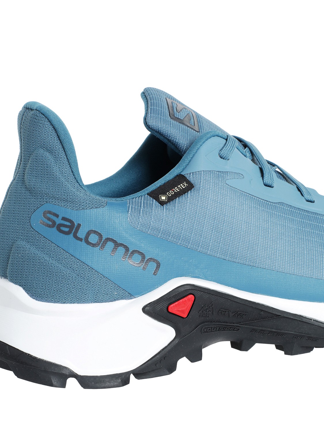 Кроссовки SALOMON Alphacross 3 Gtx W Bluest/White