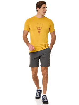Шорты VIKING Expander Grey