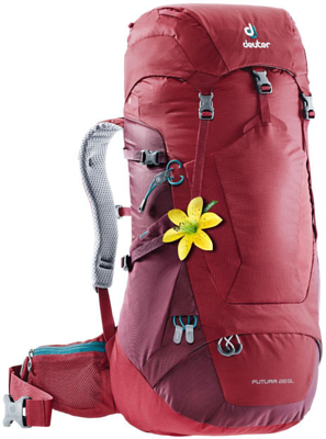Deuter Futura 28 SL cranberry maron