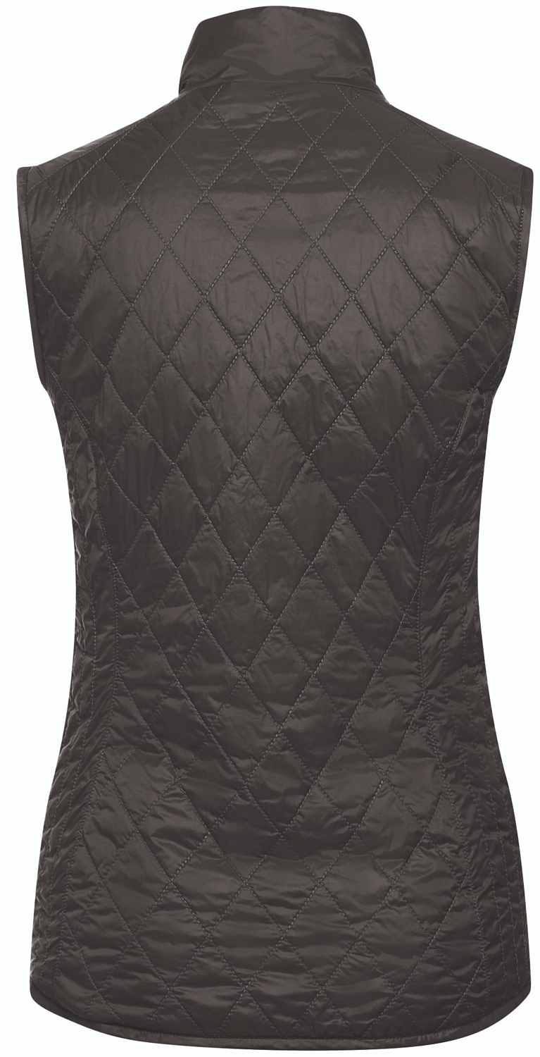 Жилет для активного отдыха Maier 2018-19 Carp Vest W graphite