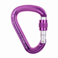 Карабин Beal Be Safe Screw Fuchsia