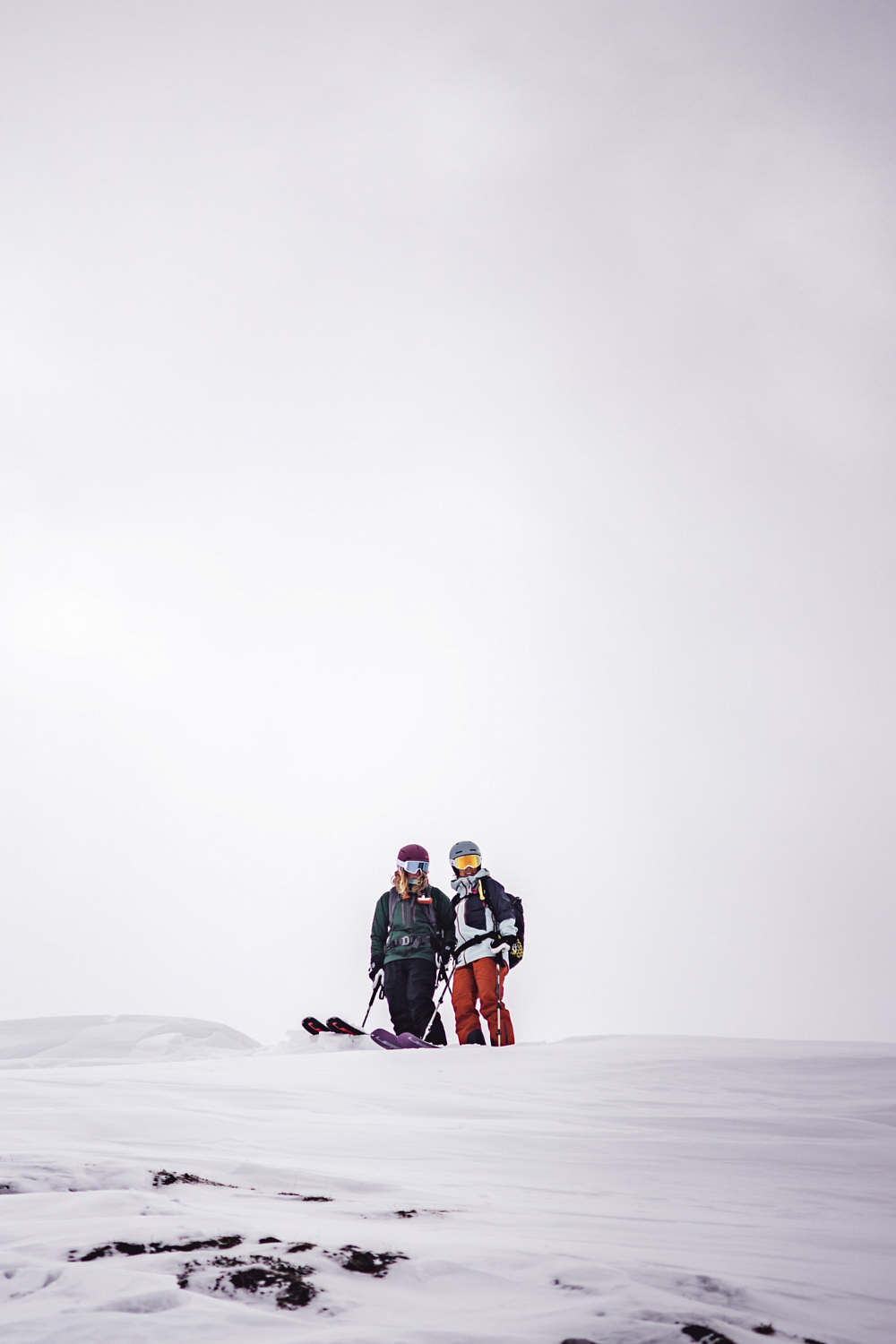 Горные лыжи ELAN 2021-22 RipStick 88 W