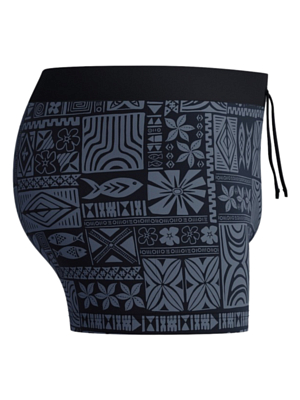 Плавки Speedo Valmilton Alov Asht Am Black